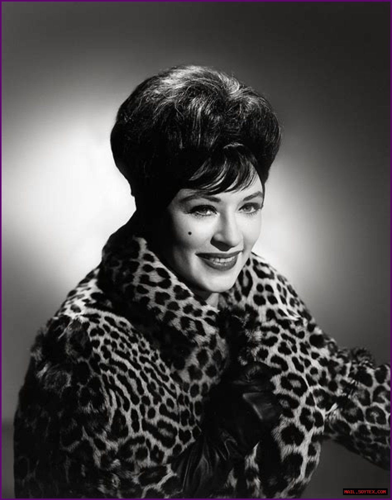 Amanda Blake Last Photo: A Glimpse Into The Life Of An Icon