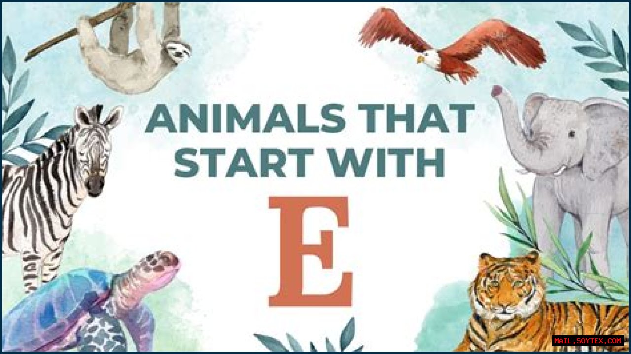 Exploring The Enigmatic World Of Animals Starting With E