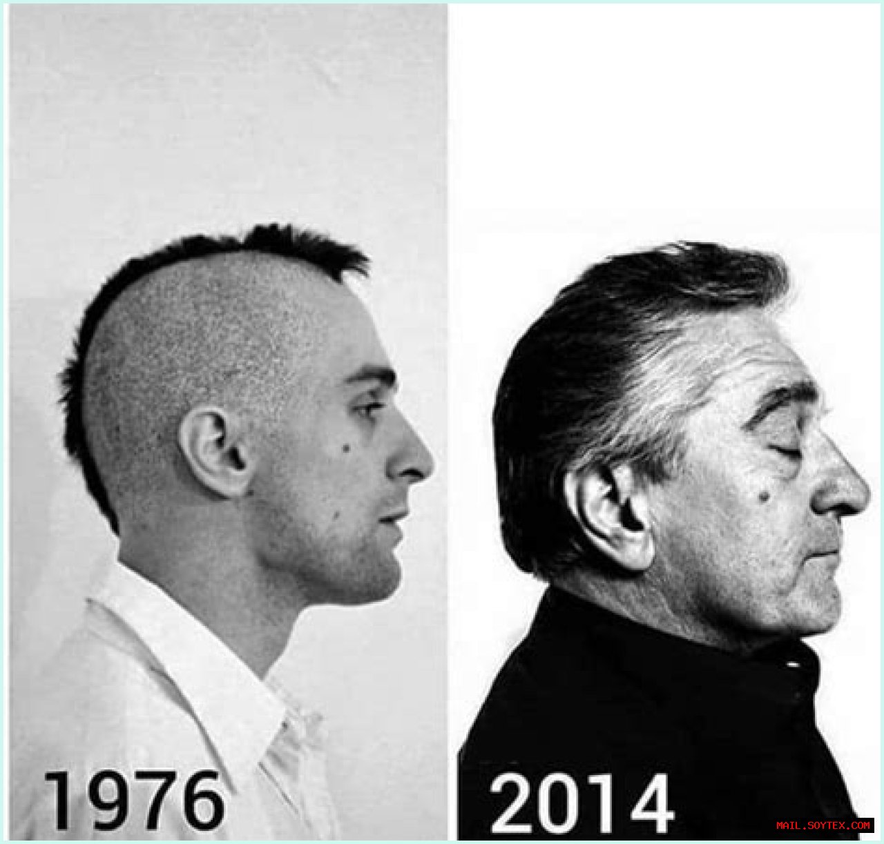 Understanding The De Niro Ear: A Comprehensive Guide
